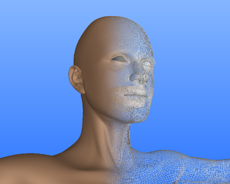 3D avec blender modélisation anatomique